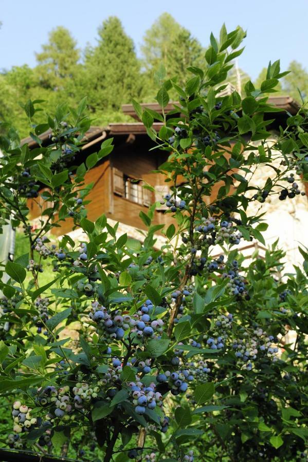 B&B il Sambuco Vignola  Bagian luar foto